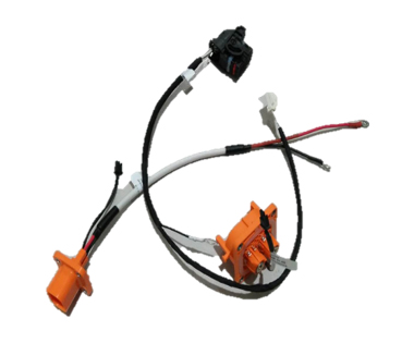 Powertrain wiring harness